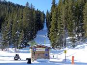 Pfaffenbühel III - Sleeplift met T-beugel/Ankerlift