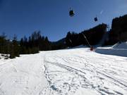 Steinbergriedel nr. 11