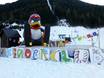 Familieskigebieden Achensee – Gezinnen en kinderen Karwendel Bergbahn (Zwölferkopf) – Pertisau