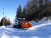 Tip voor de kleintjes  - Alpuschnaager