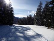 Gemakkelijke piste Jocher