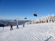 Panorama in het skigebied Mitterdorf - Jouw Almberg belevenis
