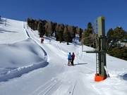 Seitensprunglift - Sleeplift met T-beugel/Ankerlift