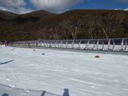 Tip voor de kleintjes 