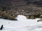 Dalafdaling Little Nell