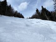 De buckelpistes dagen zelfs de gevorderde skiër uit.