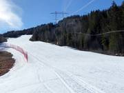 Piste Nore Midtre Nr. 6