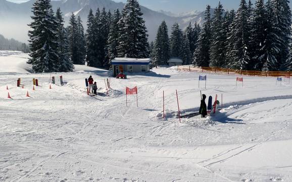 Familieskigebieden Bodensee-Vorarlberg – Gezinnen en kinderen Laterns – Gapfohl