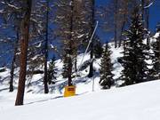 Lanzenbesneeuwing bij de dalafdaling