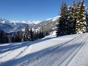 Panoramaloipe bij de Kristberg