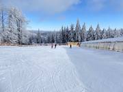 Oefengebied Junior Ski Zirkus met overdekte transportbanden