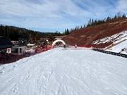 Oefenweide met transportband