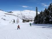 Gemakkelijke piste Deer Hollow