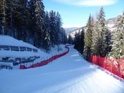 Rudi-rendier-pad bij de Rotwand