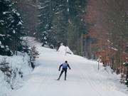 Gipfelloipe op de Ochsenkopf
