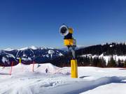 Sneeuwkanonnen op de Planai