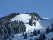 Freeridegebied bij de Aberg