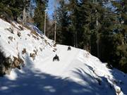 Tip voor de kleintjes 