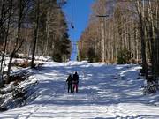 Hochberg Ost (Sonnenlift) - Sleeplift met T-beugel/Ankerlift