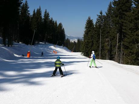 Skigebieden voor beginners in de Rhodopen – Beginners Pamporovo