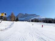 Piste nr. 44 Paolina