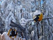 Tip voor de kleintjes  - Teufelsweg