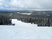 Afdaling Blue Sapphire