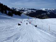 Skicross Rinderberg in Zweisimmen