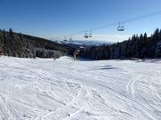 Gemakkelijke piste Schwaigwiese nr. 1