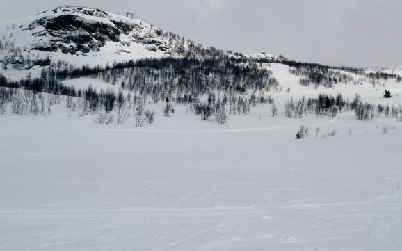 Skiën bij Ryfoss