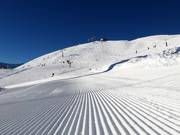 Eersteklas pistepreparatie