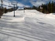 Pride & Bwana Terrain Parks