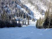 Moeilijke buckelpiste aan de achterkant