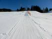 Zwarte Woud: beste skiliften – Liften Todtnauberg