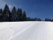 Perfect geprepareerde pistes