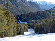 Middelzware piste Ray's Run