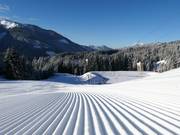 Eersteklas pistepreparatie in Filzmoos