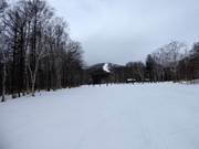 Gemakkelijke piste South Road