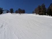 Dalafdaling naar Les Collons