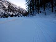 De loipes worden geprepareerd voor klassieke techniek en skating.