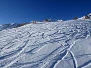 Diep sneeuw afdalingen op de Cima Vioz