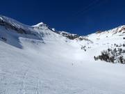 The Bowl bij Powder Seeker 6