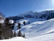 Uitzicht op de pistes onder de Kampenwand