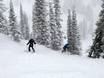 Skigebieden voor gevorderden en off-piste skiërs Mountain States – Gevorderden, off-piste skiërs Snowbasin