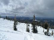 Diepsneeuwpistes in de Sun Rype Bowl