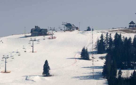 Skiën bij Czarna Góra