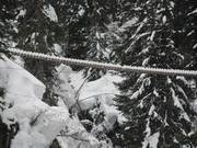 Tip voor de kleintjes 