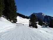 Gemakkelijke Gammeringafdaling