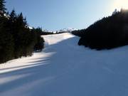 Skiroute naar het dal naar Kuznice