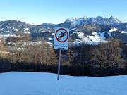 Bescherming van het herbebossingsgebied